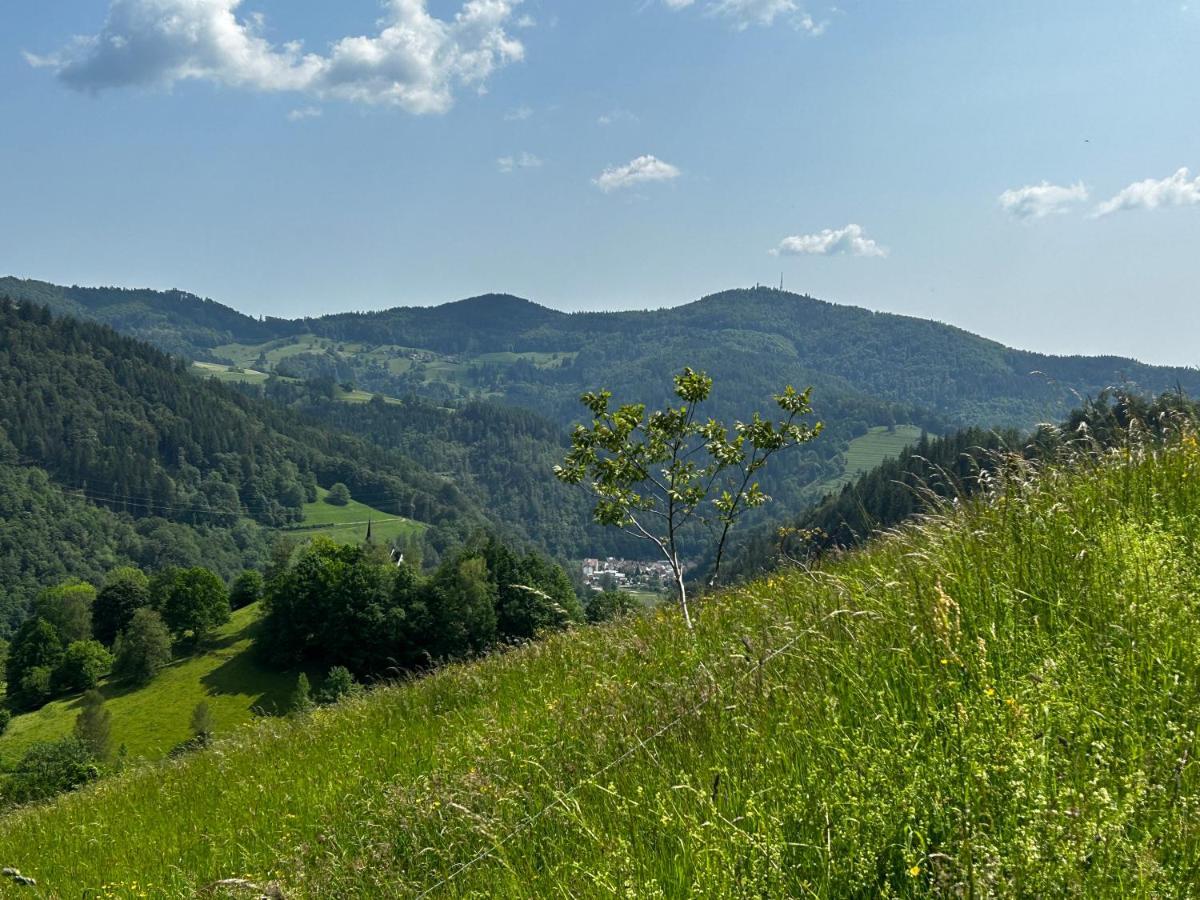 Zell im Wiesenthal Cella Apartments **** מראה חיצוני תמונה